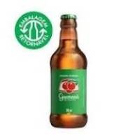 Refrigerante Guaraná Antarctica 300ml Retornável • Express
